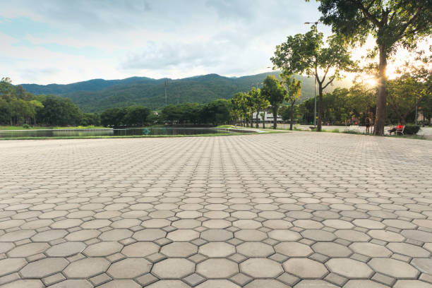 Best Best Driveway Pavers  in Crooked Lake Park, FL